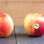 Food packaging labels