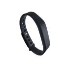 Electronic Wristband