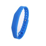 Electronic Wristband