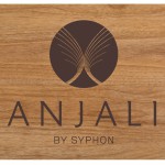 Accept Customized Laser Wood NFC Card