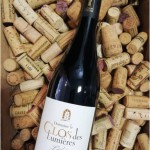 Domaine le Clos Des Lumieres